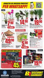 B1 Discount Baumarkt Prospekt woche 41 Seite 8: Saatgut Advents-Kalender €19,90, Wild Vögel Meisenknödel €5,90