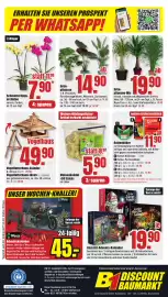 B1 Discount Baumarkt Prospekt woche 41 Seite 8: Saatgut Advents-Kalender €19,90, Wild Vögel Meisenknödel €5,90