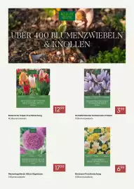 Pflanzen Kölle Prospekt Seite 5: KÖLLES BESTE UBER 400 BLUMENZWIEBELN & KNOLLEN KOLLES HESTE Route Some Dout Verwildam