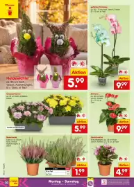 Netto Marken-Discount Prospekt woche 41 Seite 38