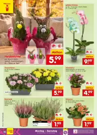Netto Marken-Discount Prospekt woche 41 Seite 38