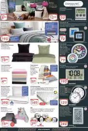 Globus Prospekt woche 41 Seite 25