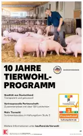 Kaufland Prospekt woche 40 Seite 63