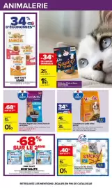 Catalogue Carrefour | OCTOBRE ROSE page 40: VETOCANIS DentActiv €2,49, Hooliz Croquettes pour petits chiens €3,29