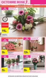 Catalogue Carrefour | OCTOBRE ROSE page 5: Kalanchoe €5,99, Ruban Rose Rosier €6,99
