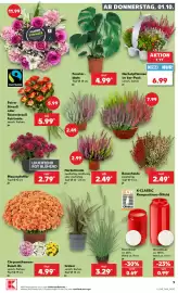 Kaufland Prospekt woche 40 Seite 9