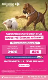 Catalogue Carrefour Market | TOUS EN ROSE page 20