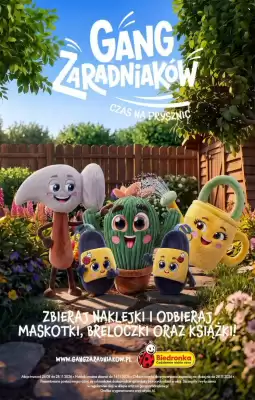 Biedronka (ważność do 3-10)