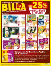 Billa Flugblatt woche 40 Seite 16