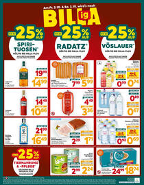 Billa Flugblatt woche 40 Seite 16