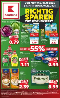 Kaufland (gültig bis 7-10)