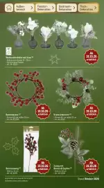 METRO Prospekt Seite 122: Kranz dekoriert, DPI Weihnachtsblüte mit Vase