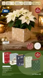 METRO Prospekt Seite 156: Tarrington House Weihnachtstüten Lack, GOLDINA Flowerpot