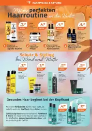 Müller Prospekt woche 41 Seite 2: Got2b Hitzeschutz Spray €3,99, Schwarzkopf GLISS Shampoo oder Spülung €2,49