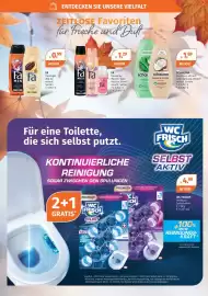 Müller Prospekt woche 41 Seite 3: SCHAUMA Repair & Pflege Spülung €1,69, Fa Deospray €1,29