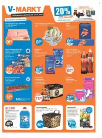 V Markt Prospekt woche 41 Seite 1: Blumenerde €3,79, Universalwanne €6,99