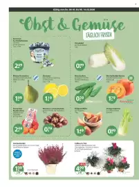 V Markt Prospekt woche 41 Seite 4: Mini Gurken / höflergemüse €0,39, CyMueCa Trio €4,99