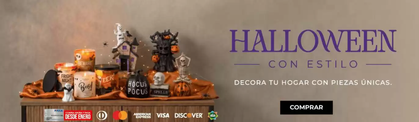 Pycca (válido hasta 2-11)
