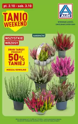 ALDI (ważność do 3-10)