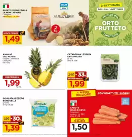 Volantino Alì Supermercati Pagina 3: Ananas del Monte €1,99, Insalata iceberg Bonduelle €1,39