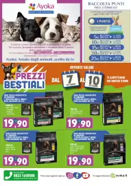 Volantino Ayoka Pagina 8: Proplan adult small mini €19,90, Pro Plan adult small mini €19,90