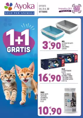 Ayoka (valido fino al 22-10)