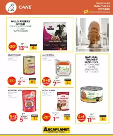 Volantino Arcaplanet Pagina 16: Almo Daily vaschetta cane €7,65, Royal Canin busta cane €1,75