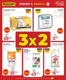 Volantino Arcaplanet Pagina 2: Hill's Science Plan Crockette Gatto Kitten Salmone €43,98, Gourmet Gold Mousse Moy €29,99