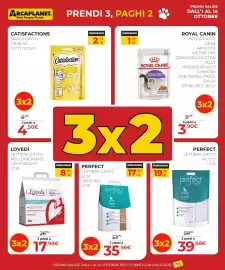 Volantino Arcaplanet Pagina 6: Catisfactions snack gatto €2,25, Perfect lettiera gatto eco vegetale €35,98