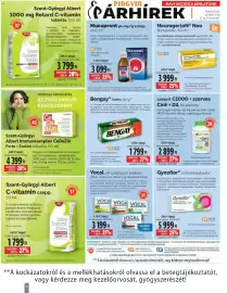 Pingvin Patika akciós újság Oldal 12: Vocal €3.199,00, Bengay krém €1.799,00