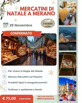 Volantino I Viaggi del Cavallino (valido fino al 29-11)