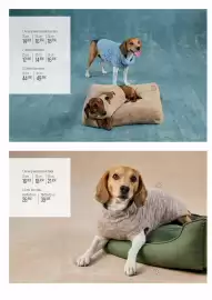 Catálogo El Corte Inglés Página 4