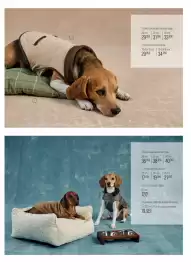 Catálogo El Corte Inglés Página 5: Mango - juego de cabra €19,95, Mango - 4 comedero doble de madera de mango €19,95