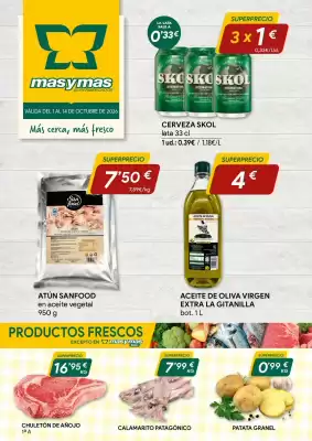 Folleto Masymas