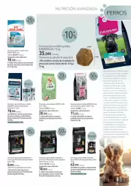 Catálogo El Corte Inglés Página 3: Arion - pienso para perros adultos friends pollo €31,95