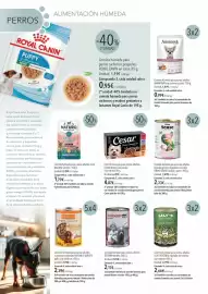 Catálogo El Corte Inglés Página 4: Dibaq - comida húmeda para perros adultos €3,49