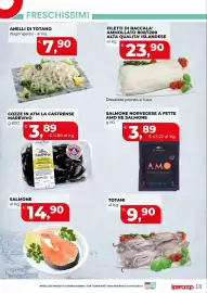 Volantino Coop Master Alleanza 3.0 | ipercoop Pagina 14