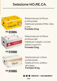 Volantino Gruppo di Palo Pagina 17