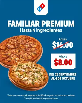 Domino's Pizza (válido hasta 6-10)