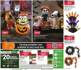 Ace Hardware flyer Page 2