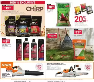 Ace Hardware flyer Page 3