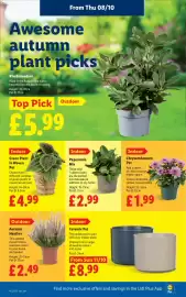 Lidl leaflet week 41 Page 26