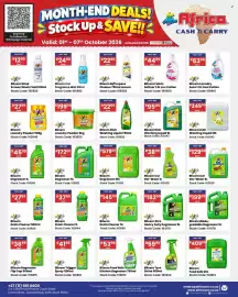 Africa Cash and Carry catalogue week 40 Page 61: Blixem Food Safe Kitchen Degreaser €53,99, Blixem Drain Cleaner €145,00
