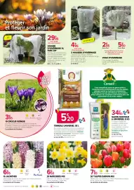Catalogue Kiriel page 4: TULIPES DARWIN MIX €7,95, Florgaison 20 NARCISSES MIX €6,50