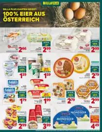 Billa Box Flugblatt woche 40 Seite 11