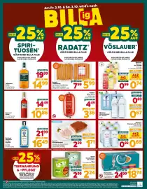 Billa Box Flugblatt woche 40 Seite 16