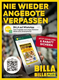 Billa Box Flugblatt woche 40 Seite 17