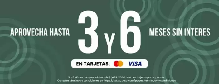 Catálogo Calzzapato Página 1