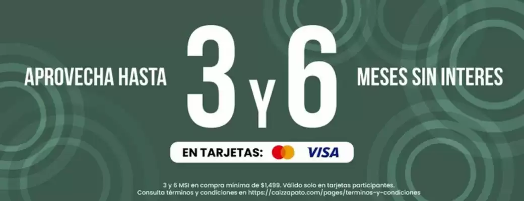 Calzzapato (válido hasta 30-11)