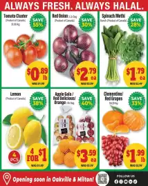 Iqbal Foods flyer week 40 Page 2: Red Onion €2,79, Spinach/Methi €1,79